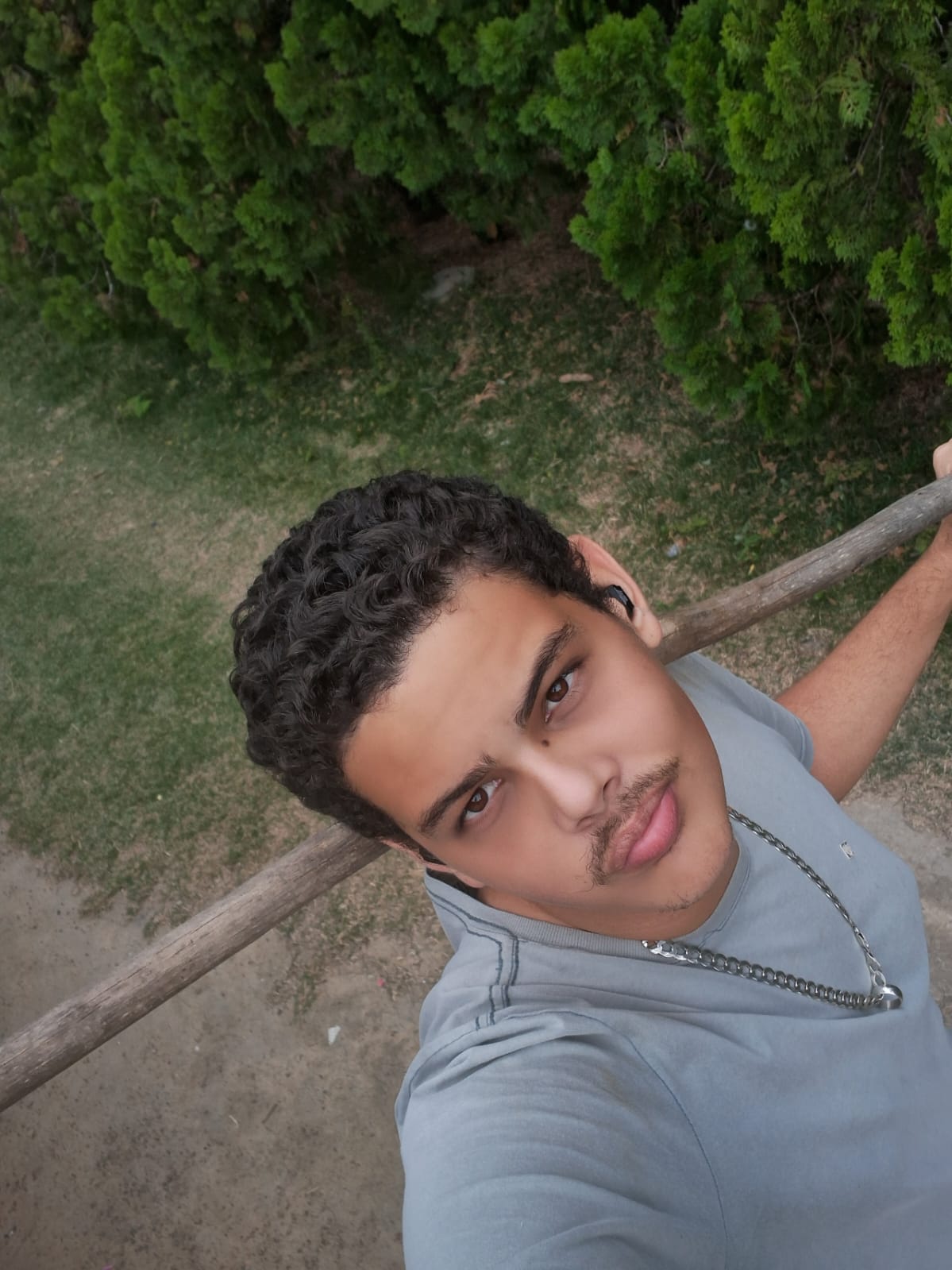 Coord. de Programação